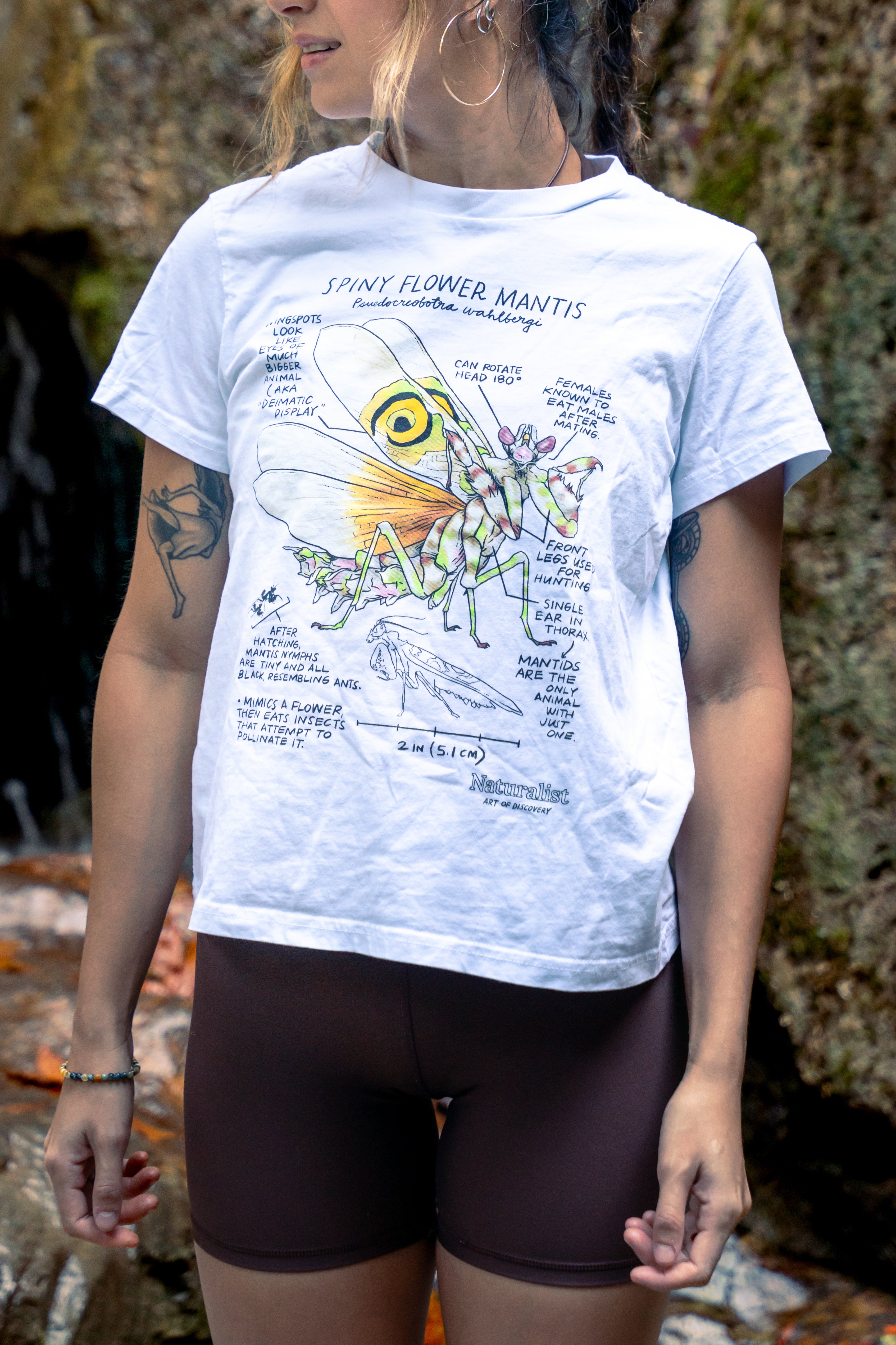 Person wearing a white t-shirt with a detailed illustration of a spiny mantis 