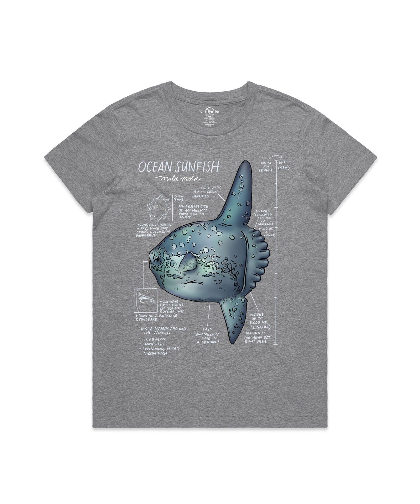 Gray t-shirt with an ocean sunfish graphic and text on a white background