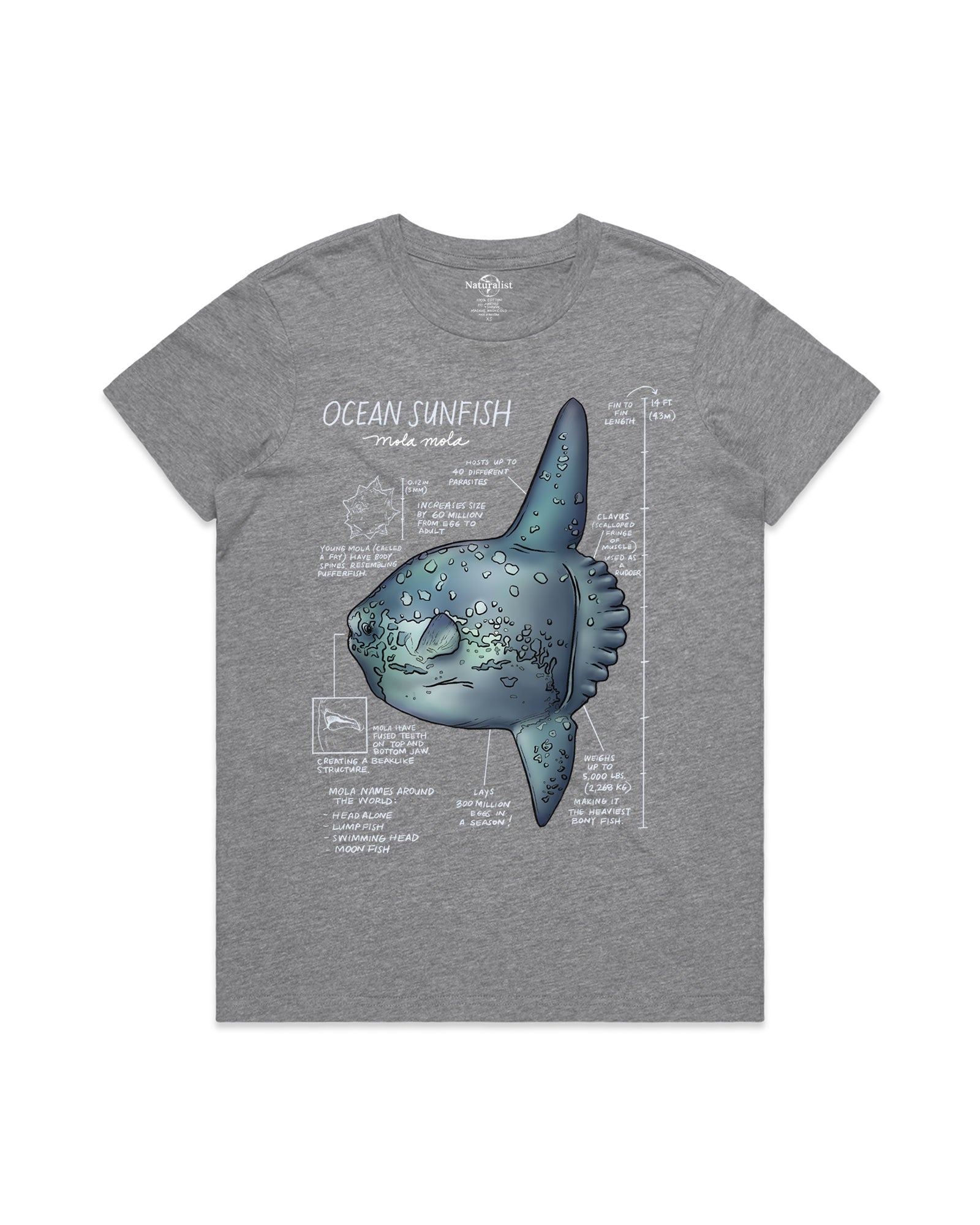 Gray t-shirt with an ocean sunfish graphic and text on a white background