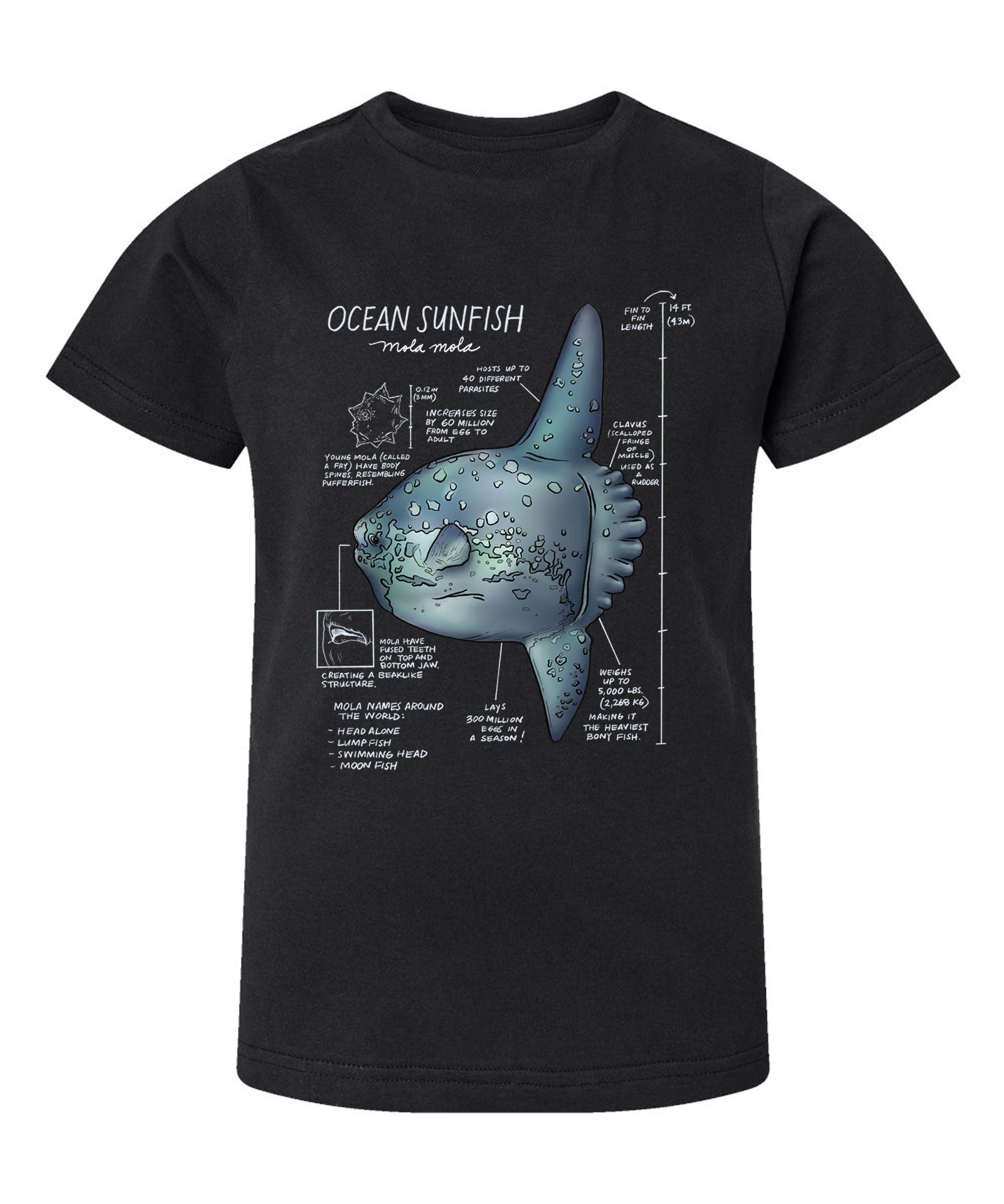 Black t-shirt with an illustration of an ocean sunfish and technical details on a white background