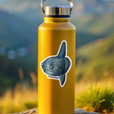 Yellow water bottle with an ocean sunfish sticker on a rock with a mountainous background